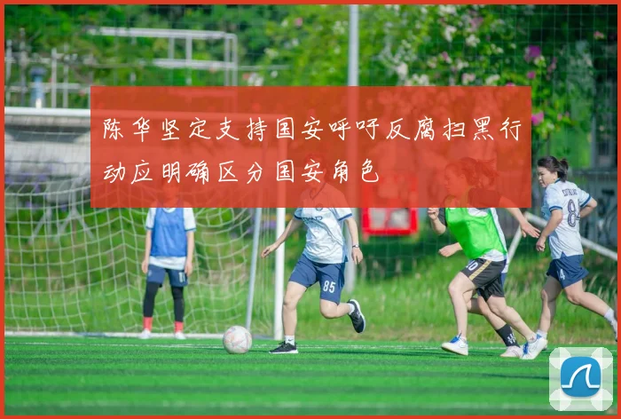 陈华坚定支持国安呼吁反腐扫黑行动应明确区分国安角色